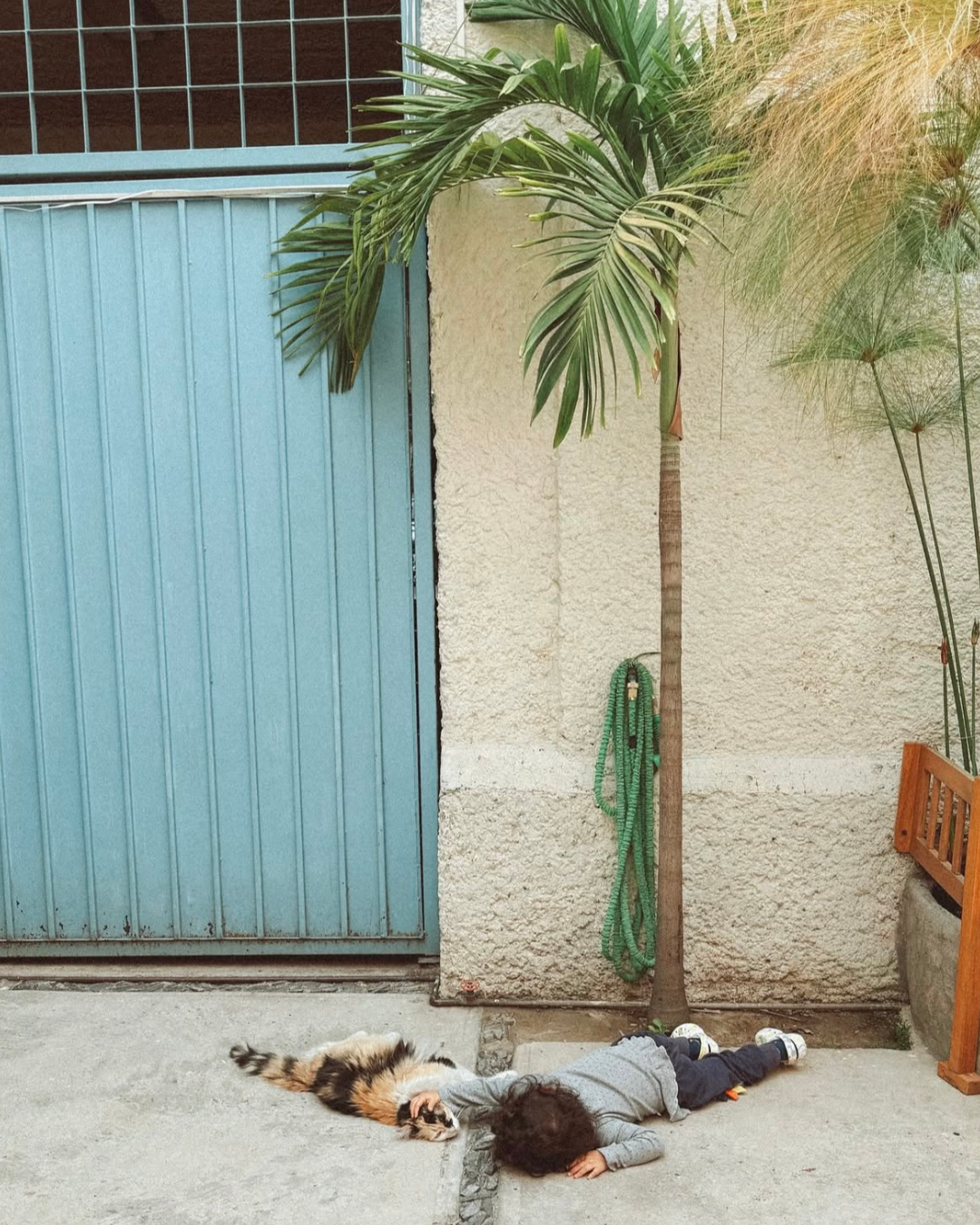 Publicación de Instagram 5